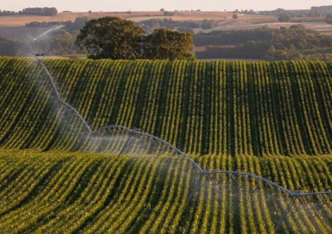 pivot otech sul campo